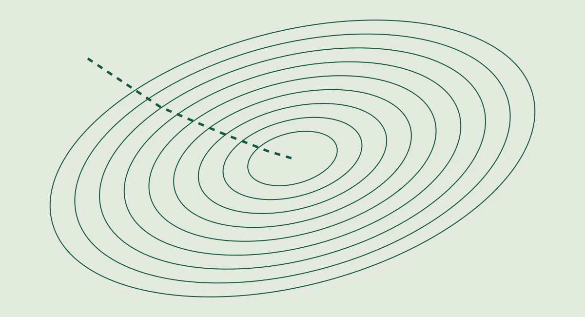 Nested contours of a loss landscape, used as an illustrative cover for this architecture example.